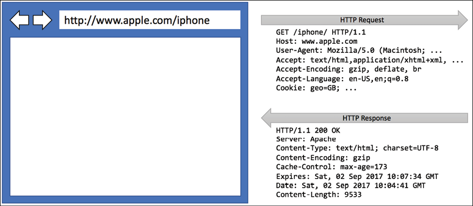 Figure 12.3: An HTTP request and response